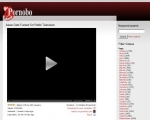 pornobo.com (#92909) - asian, fucking